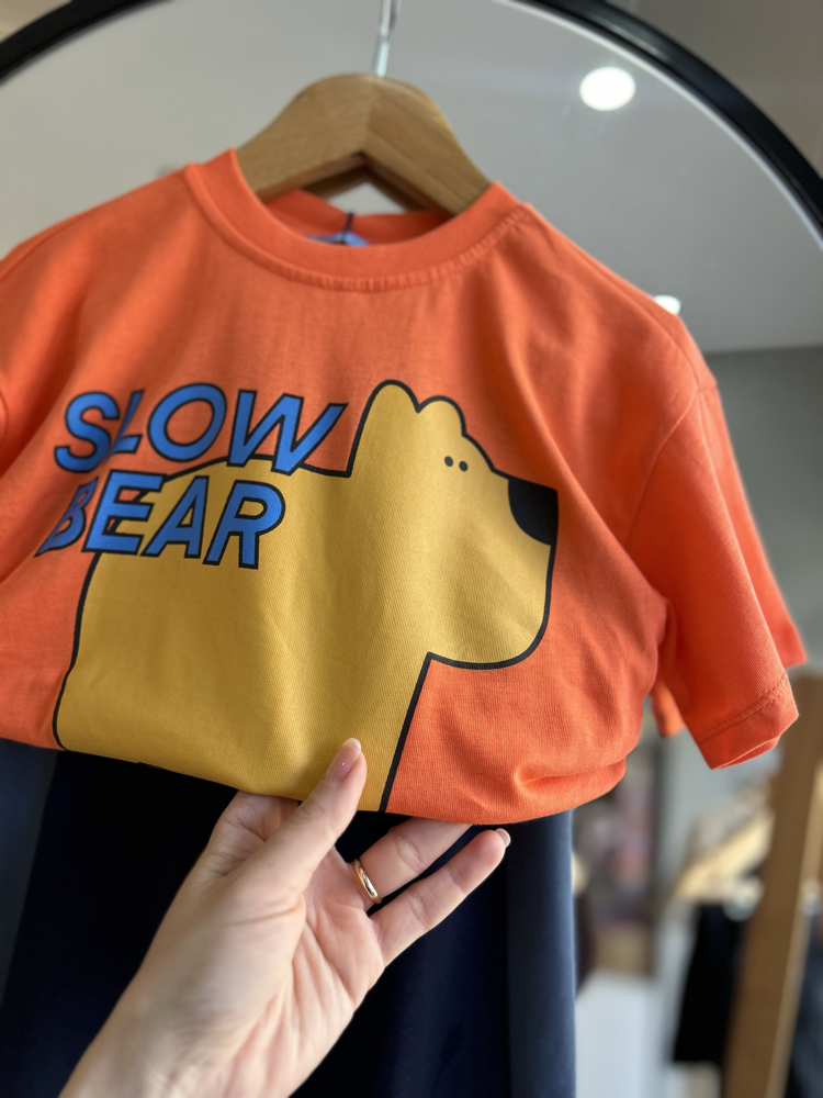 Slow bear takım