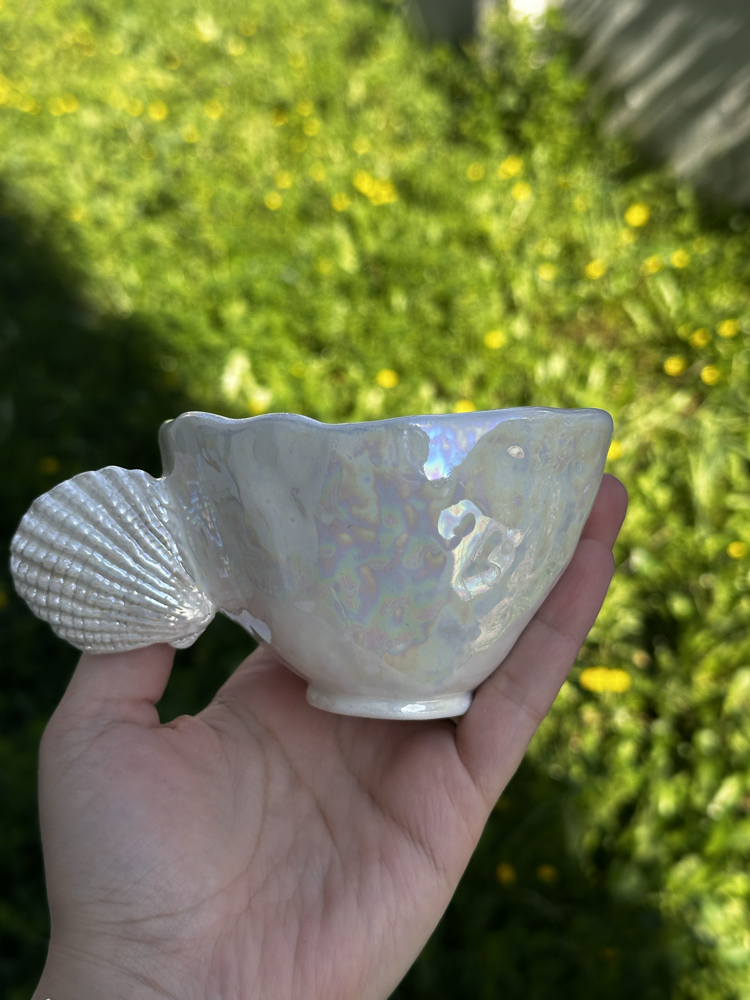 shellshine✨