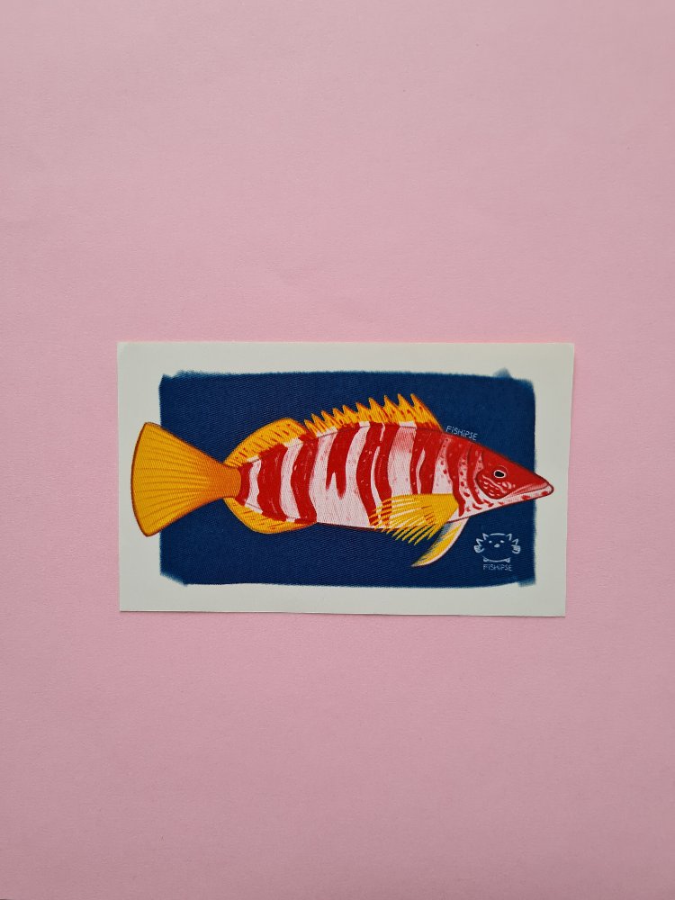 yazmalı hani balığı sticker