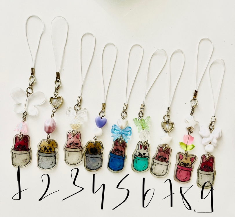 Skzoo Charm