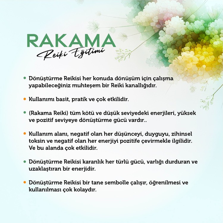 RAKAMA( DÖNÜŞÜM) REİKİSİ