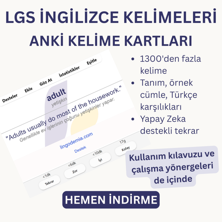 LGS İngilizce Kelimeleri | 1300+ Kelime | Yapay Zeka Destekli Öğrenme