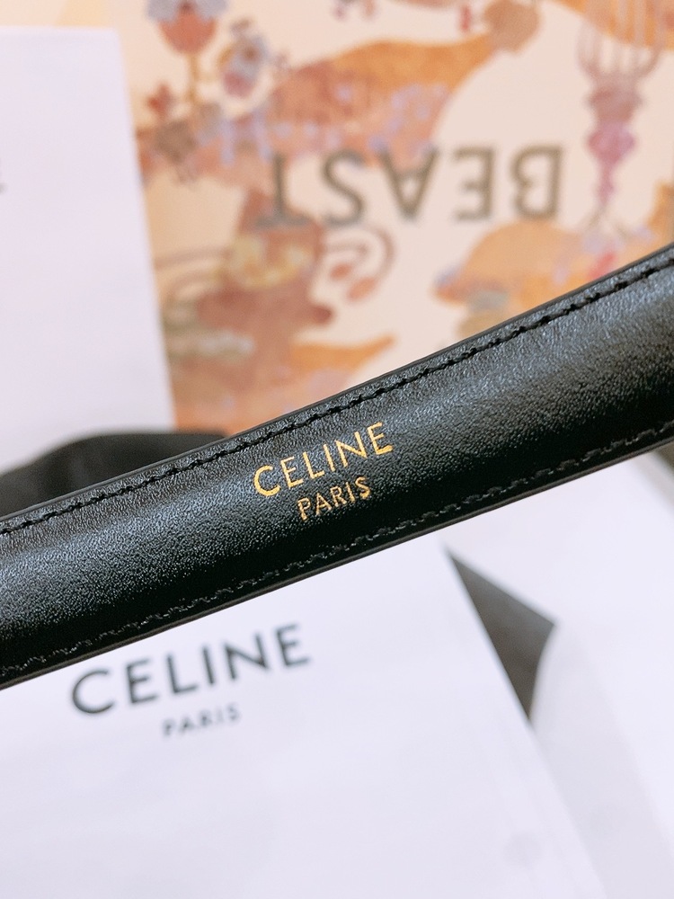 Celine Triomphe Kemer