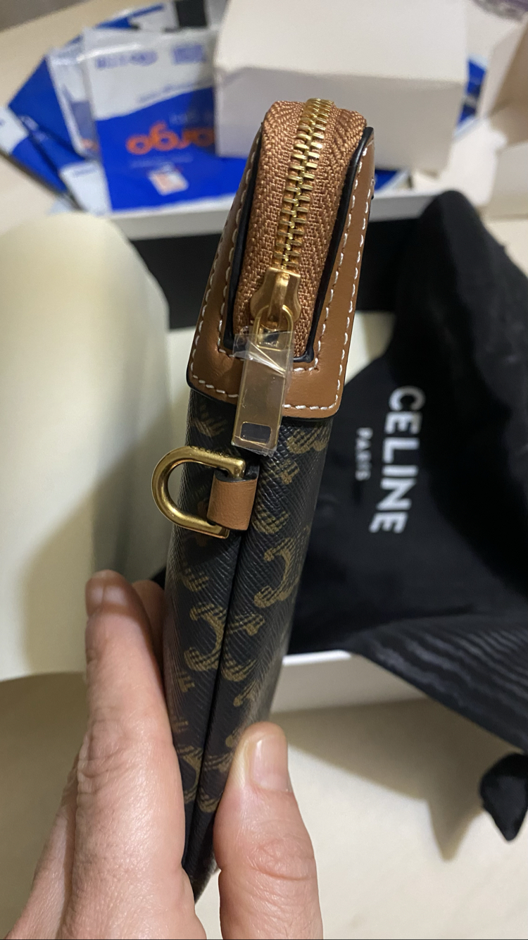 Celine Triomphe Canvas