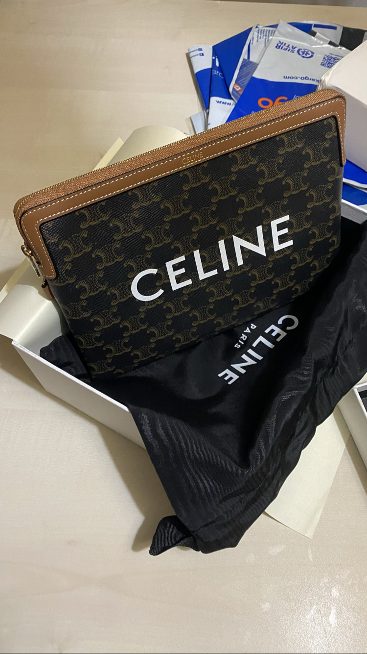 Celine Triomphe Canvas