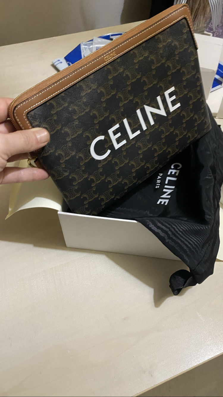 Celine Triomphe Canvas