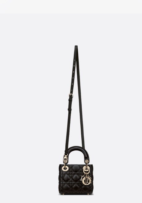 Dior Çanta