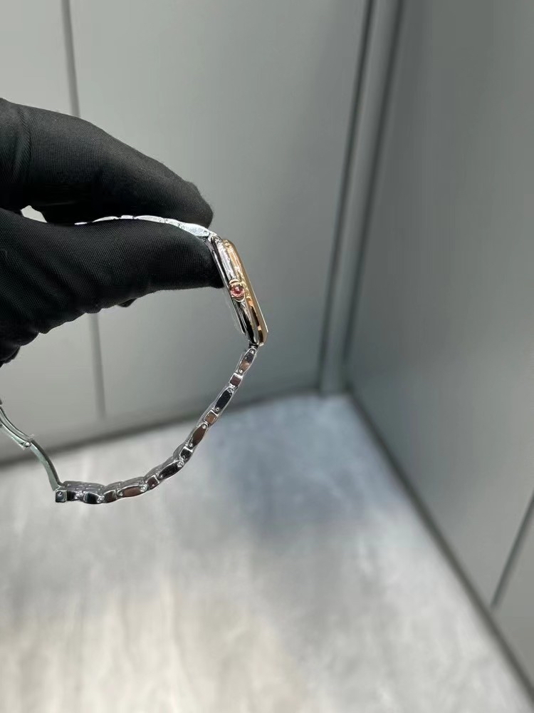 Eta Bvlgari Serpenti Tubogas saat