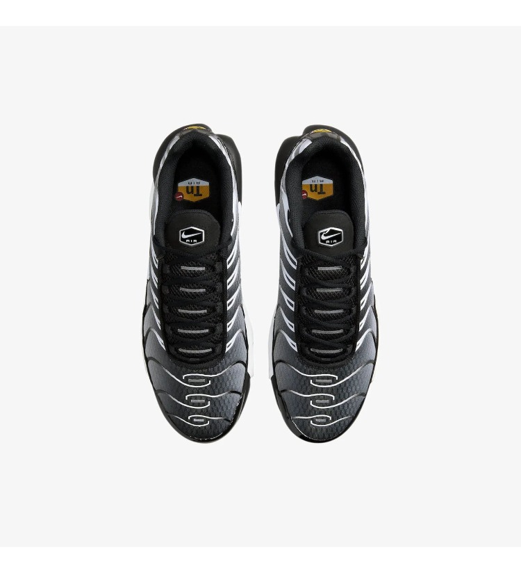 NİKE AİR MAX TN PLUS METALLİC SİLVER
