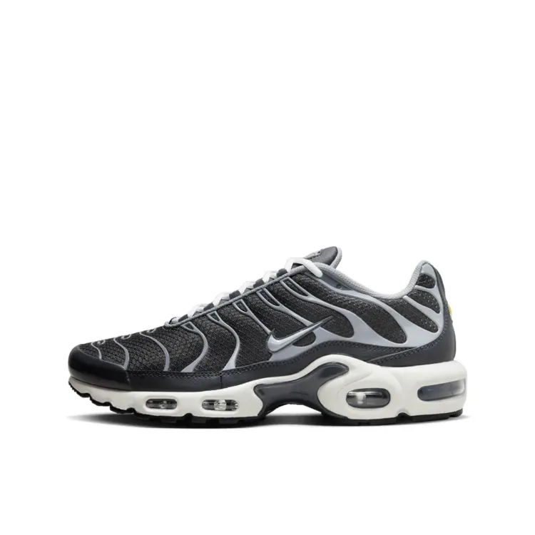NİKE AİR MAX PLUS TN IRON GREY