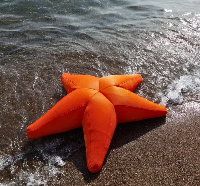 Starfish Havuz, Deniz Ve Dış Mekan Pufu / Turuncu