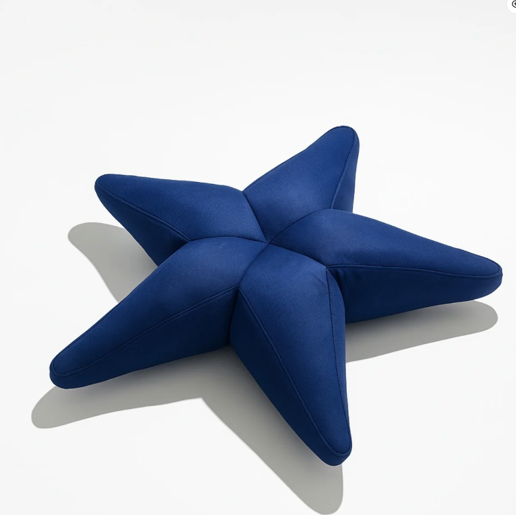 Starfish Havuz, Deniz Ve Dış Mekan Pufu / lacivert