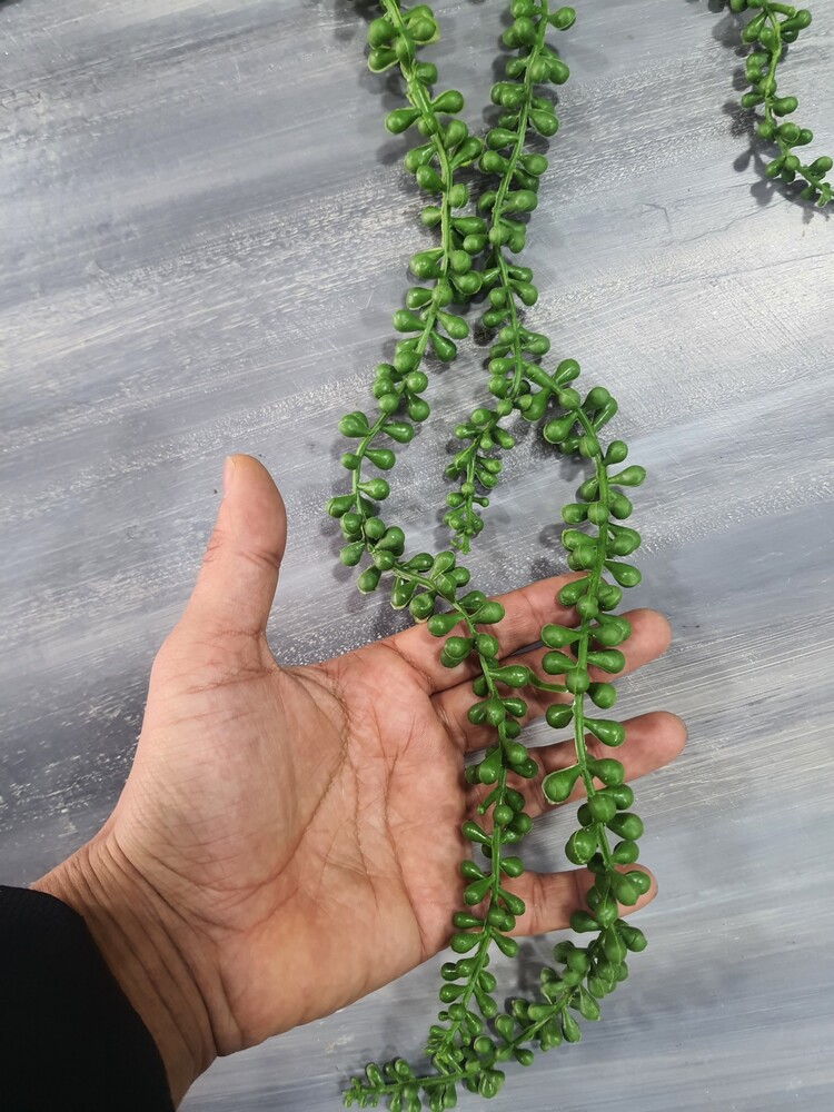 Tesbih Otu 70 cm