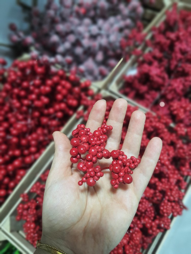 Berry Meyvesi 10 Adet 