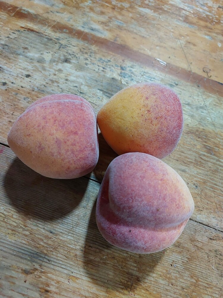 Yapay Şeftali 8 cm 1 Adet 