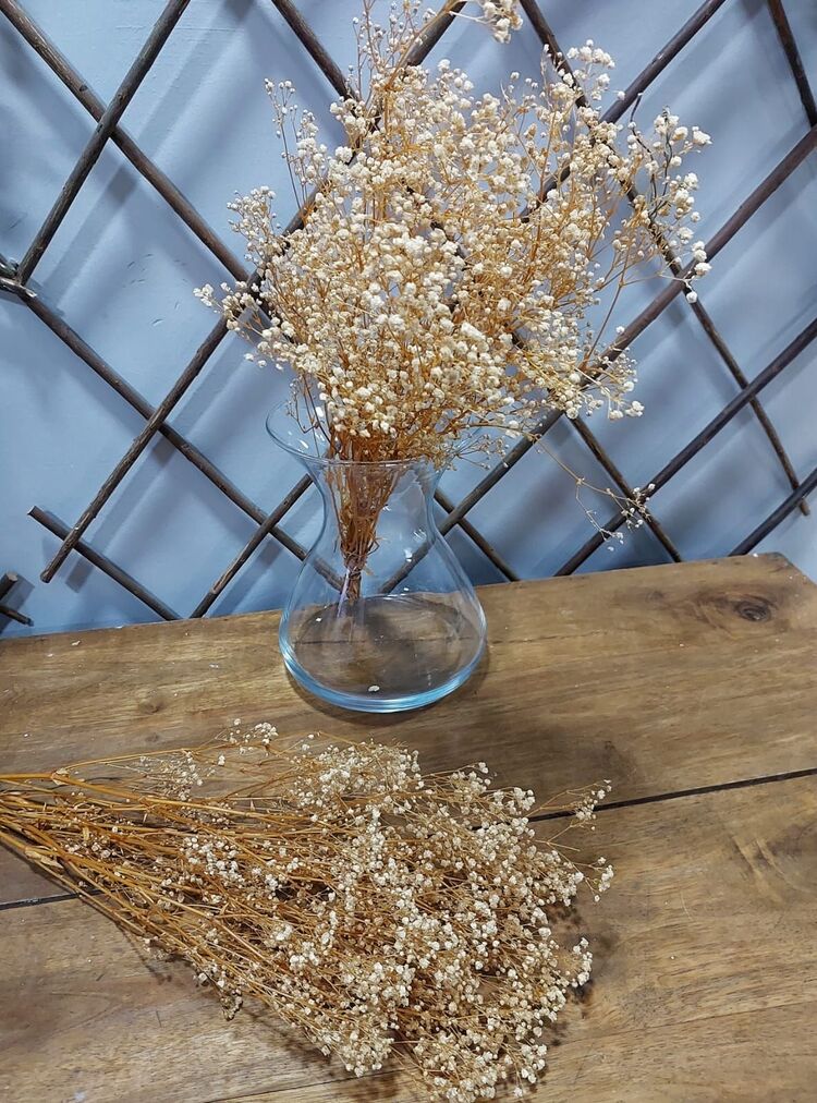 Soklu Doğal Cipso 50 gr