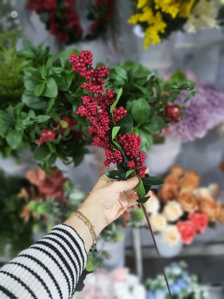 Berry Dalı 1 Dal