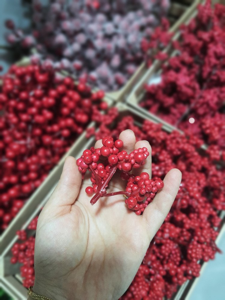 Berry Meyvesi 10 Adet 