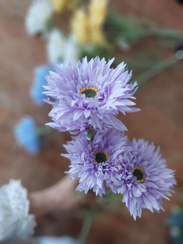 Gerbera Dalı  70 cm 