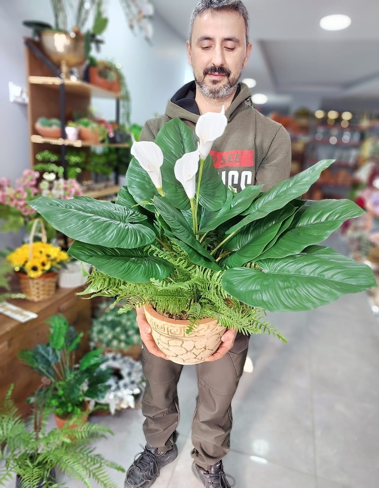 Saksı Aranjman Gala