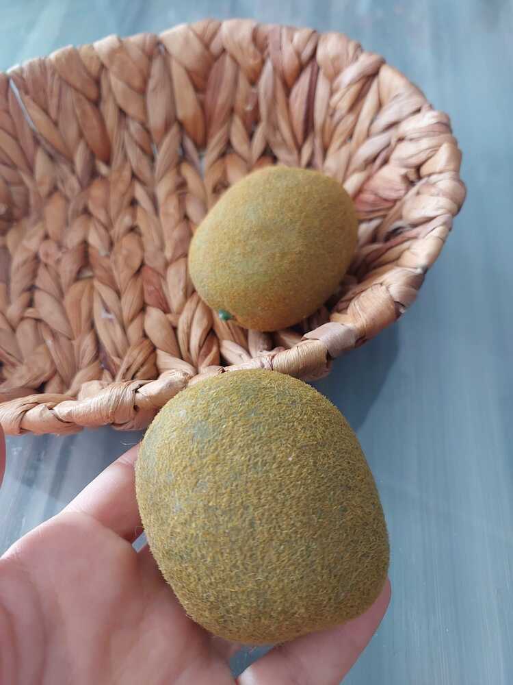 Yapay Kivi 6 cm 1 Adet, Yapay Meyve 