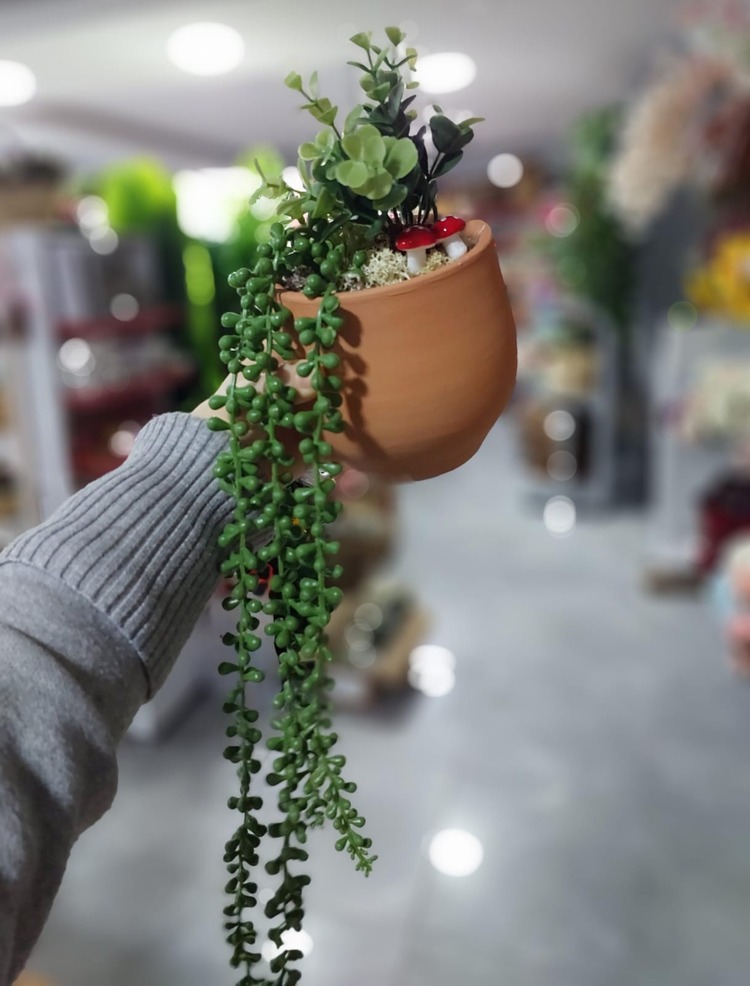 Saksı Aranjman Tesbih Otu