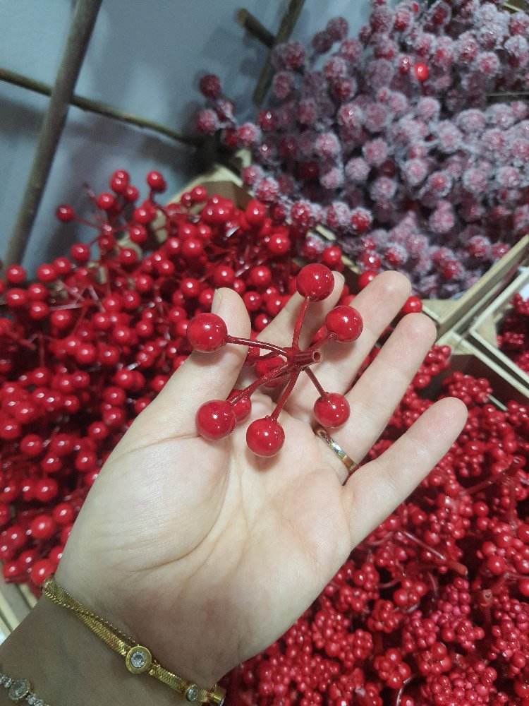 Kızılcık  Yemis 10 Adet