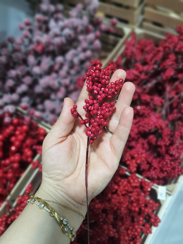 Berry Dalı 10 Adet