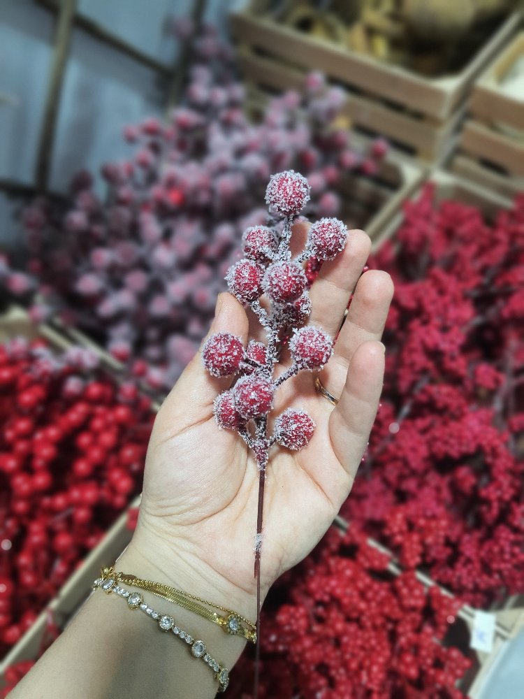 Kokina Dalı Kârlı 10 Adet