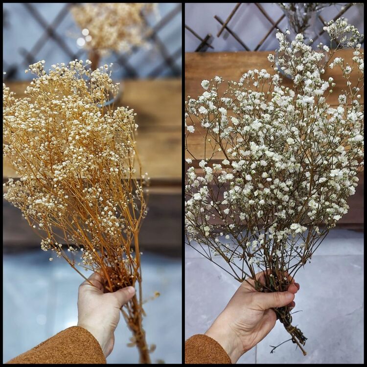 Soklu Doğal Cipso 50 gr
