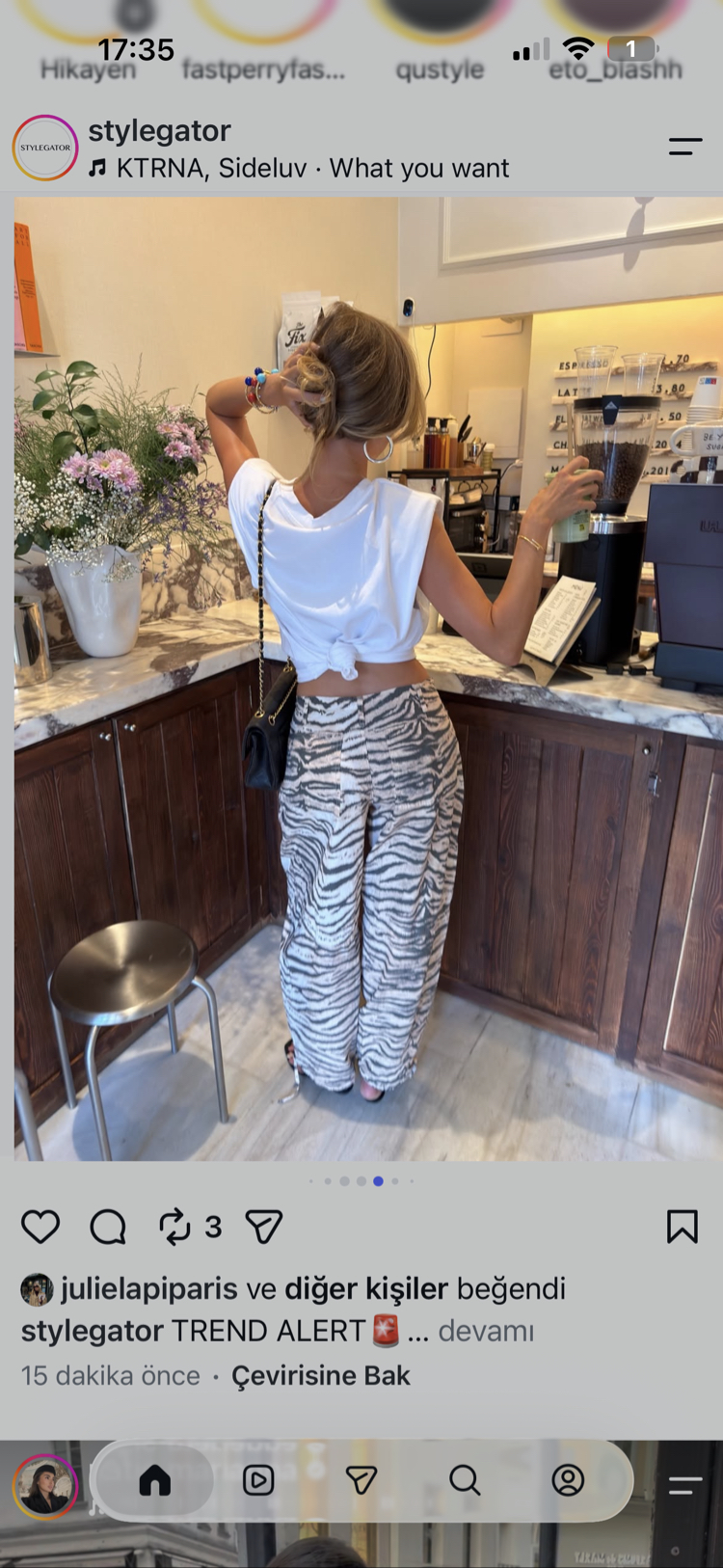 Zebra Pantolon