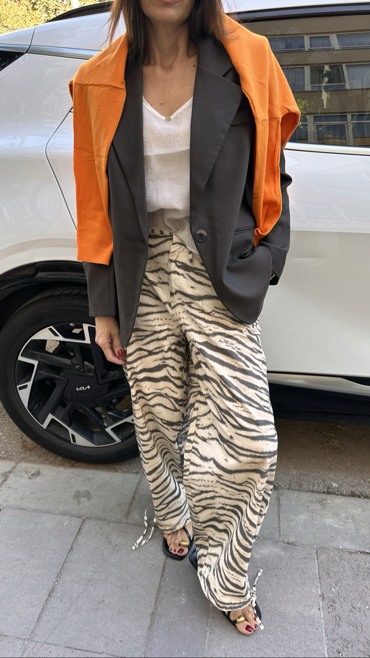 Blazer Ceket