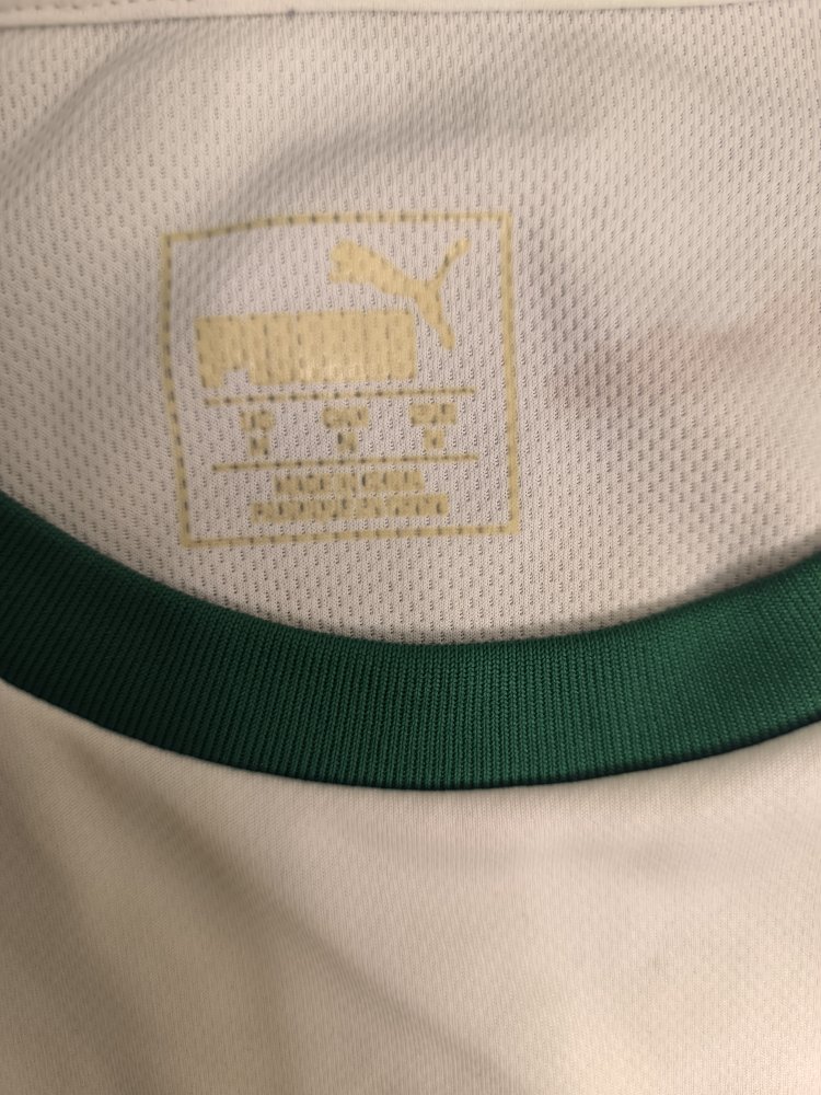 Borussia munchengladbach 