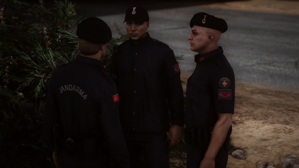 Jandarma Asayiş [EUP]