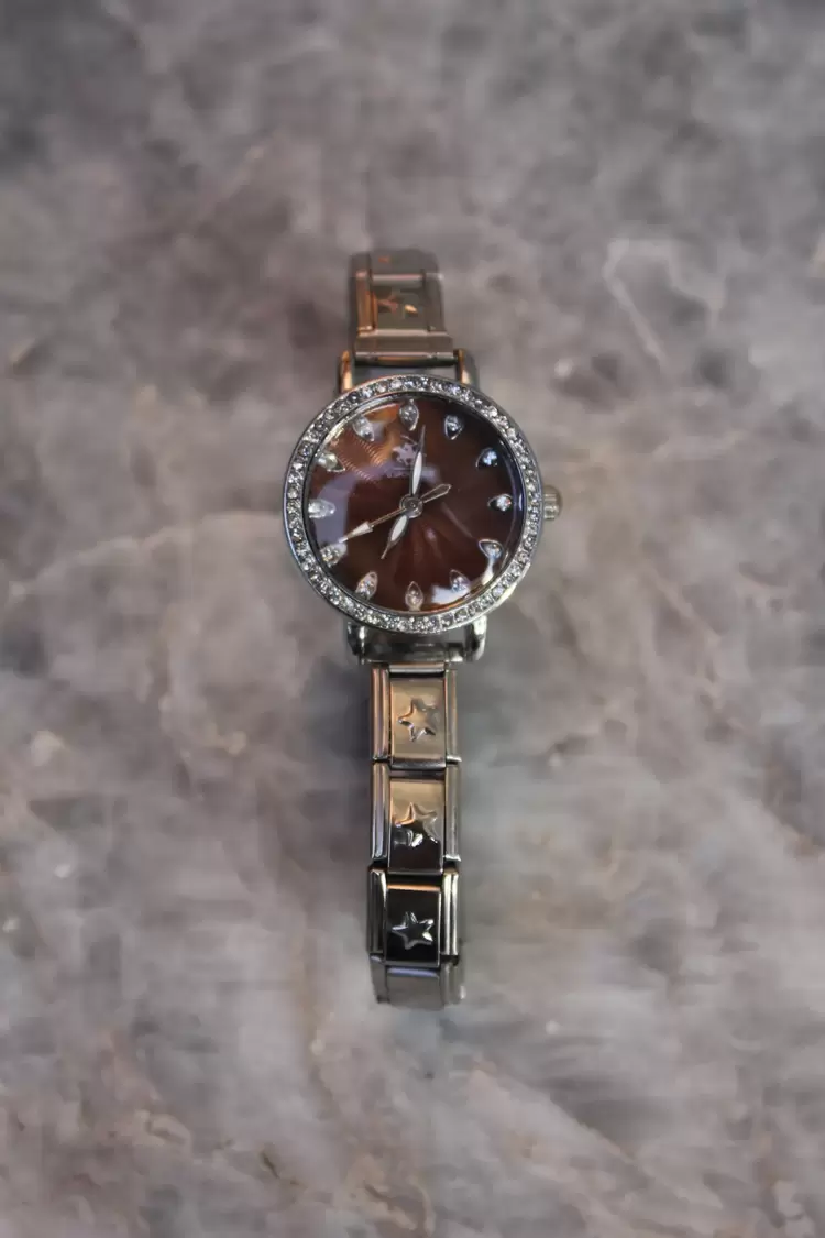 Çelik Silver Yuvarlak Taşlı Star Nomi Charm Kadın Saat