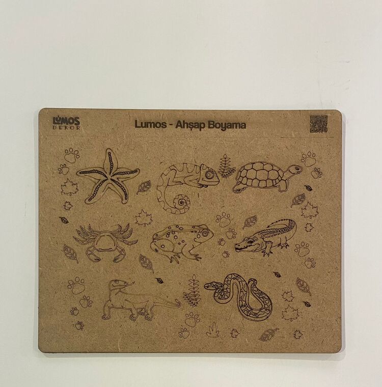 4'lü Ahşap Boyama Seti - 33x27 cm MDF - Eğitici ve Eğlenceli Çocuk Aktivite Panosu - Set 1