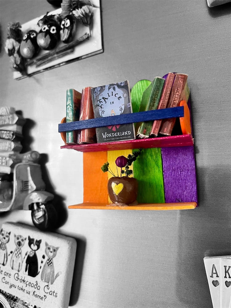 Rainbow Magnet Mini Kitaplık