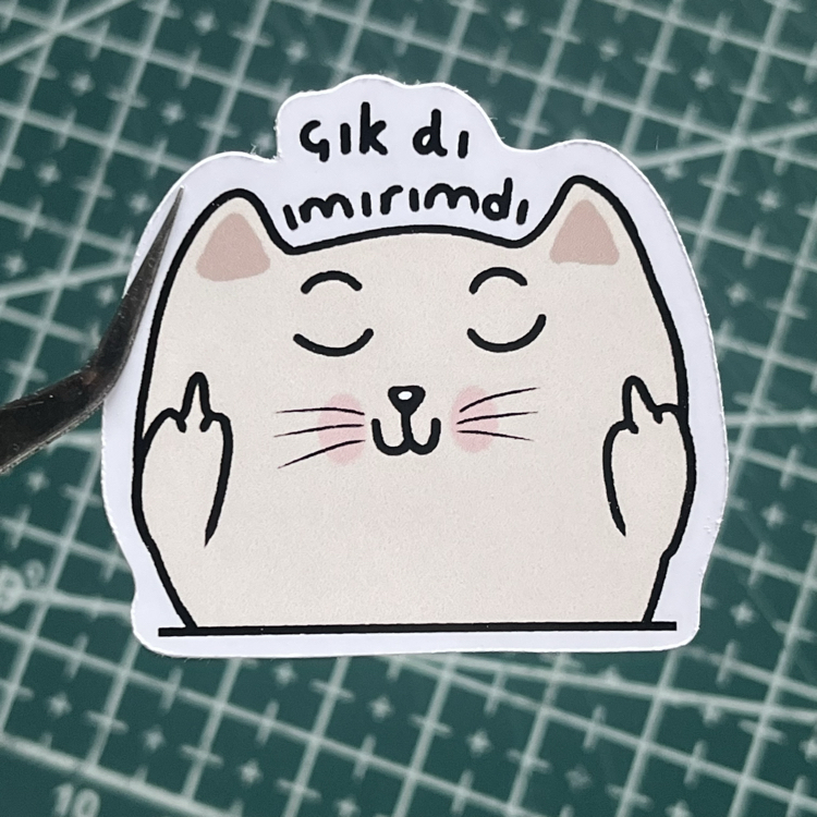 Umurum dışı TS009