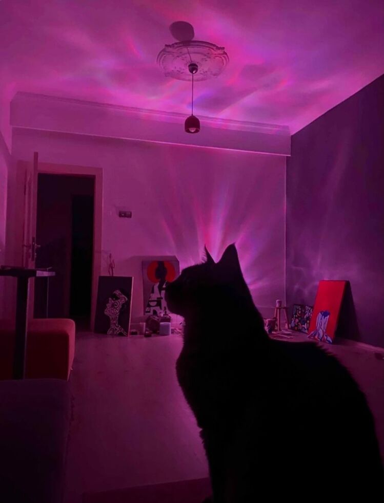 Kutup Işığı Lambası