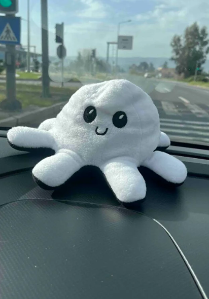Mod Değiştiren Çift Yüzlü Peluş Ahtapot