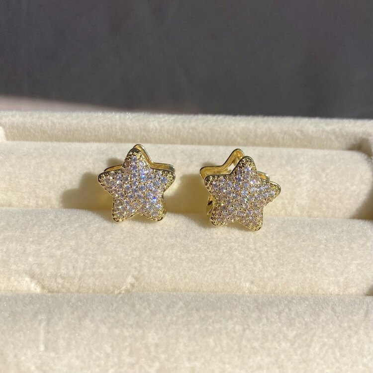 Çelik Gold Yıldız Küpe