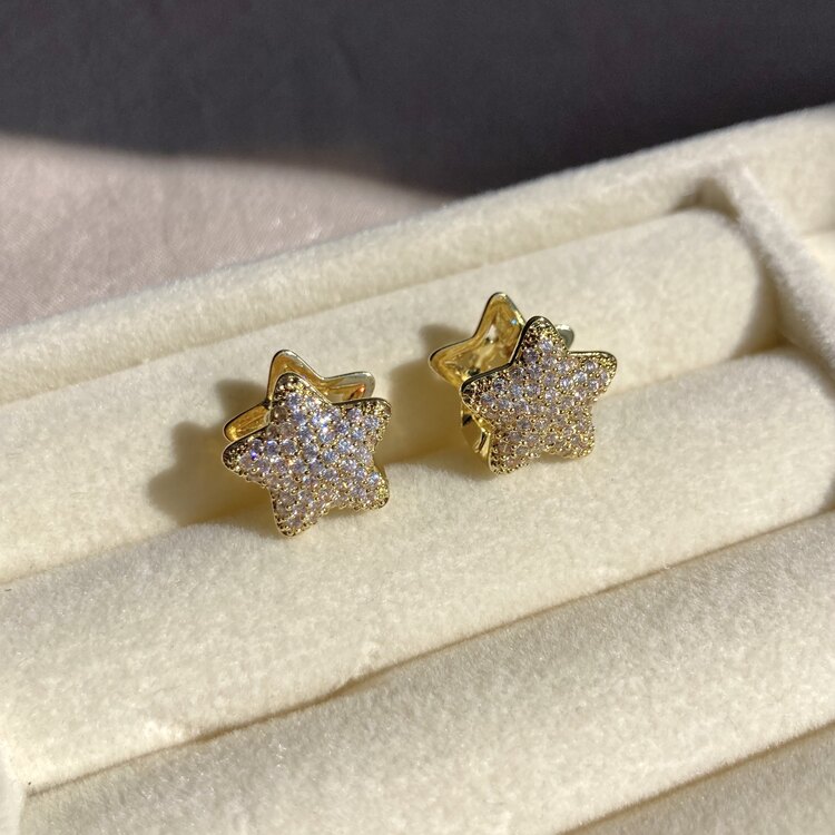 Çelik Gold Yıldız Küpe