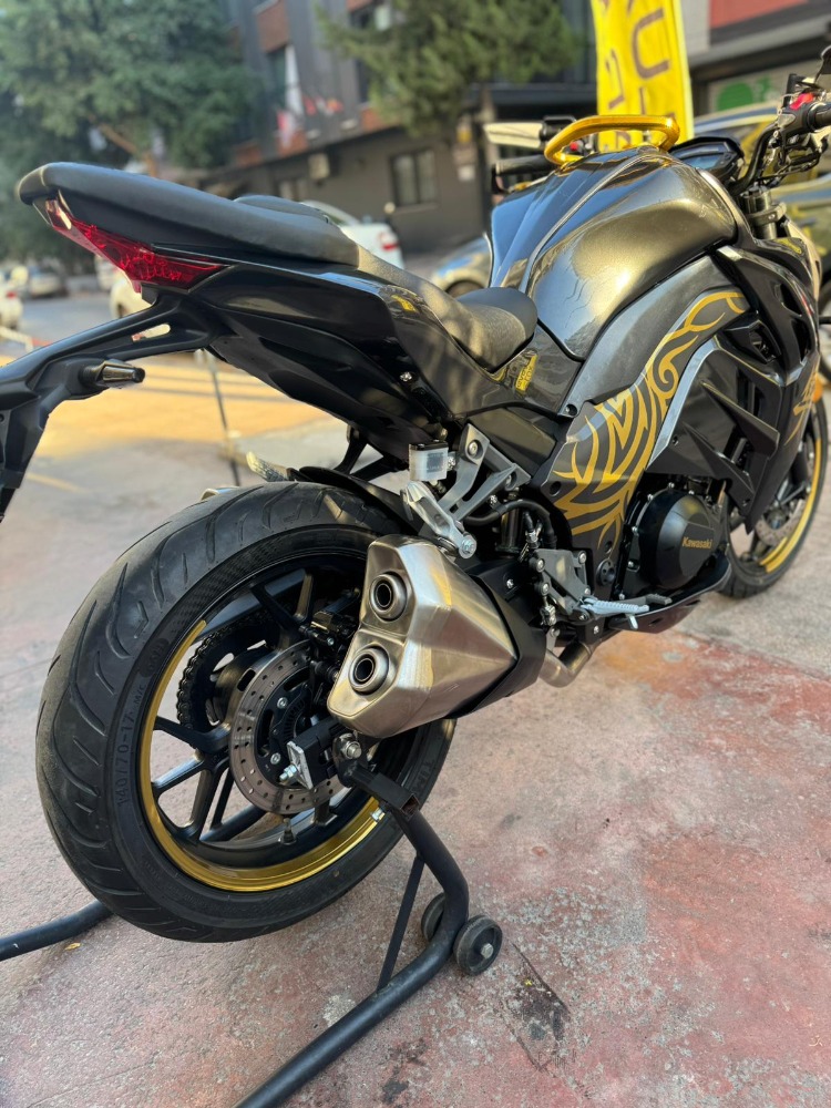 RKS A250 PREMİUM STİCKER SET GOLD 