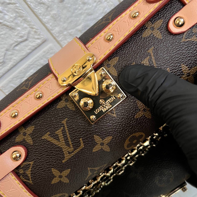 Louis Vuitton Papillon Trunk  