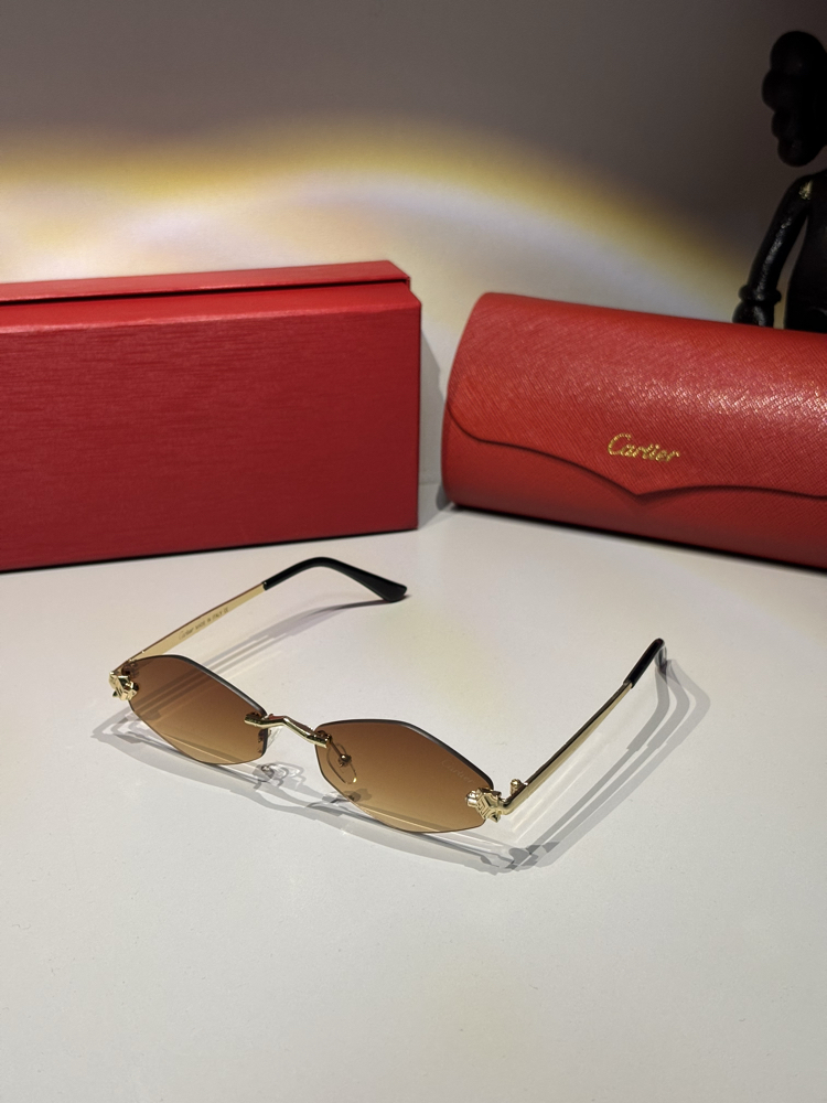Cartier Unisex Güneş Gözlüğü CTR93