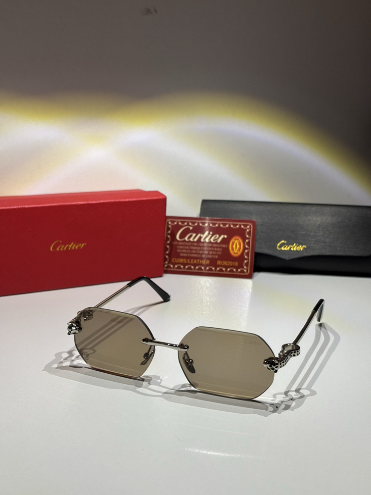 Cartier Güneş Gözlüğü CTR113