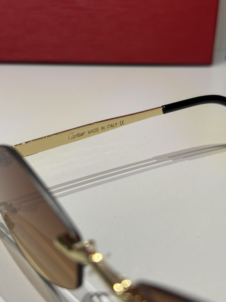Cartier Unisex Güneş Gözlüğü CTR93