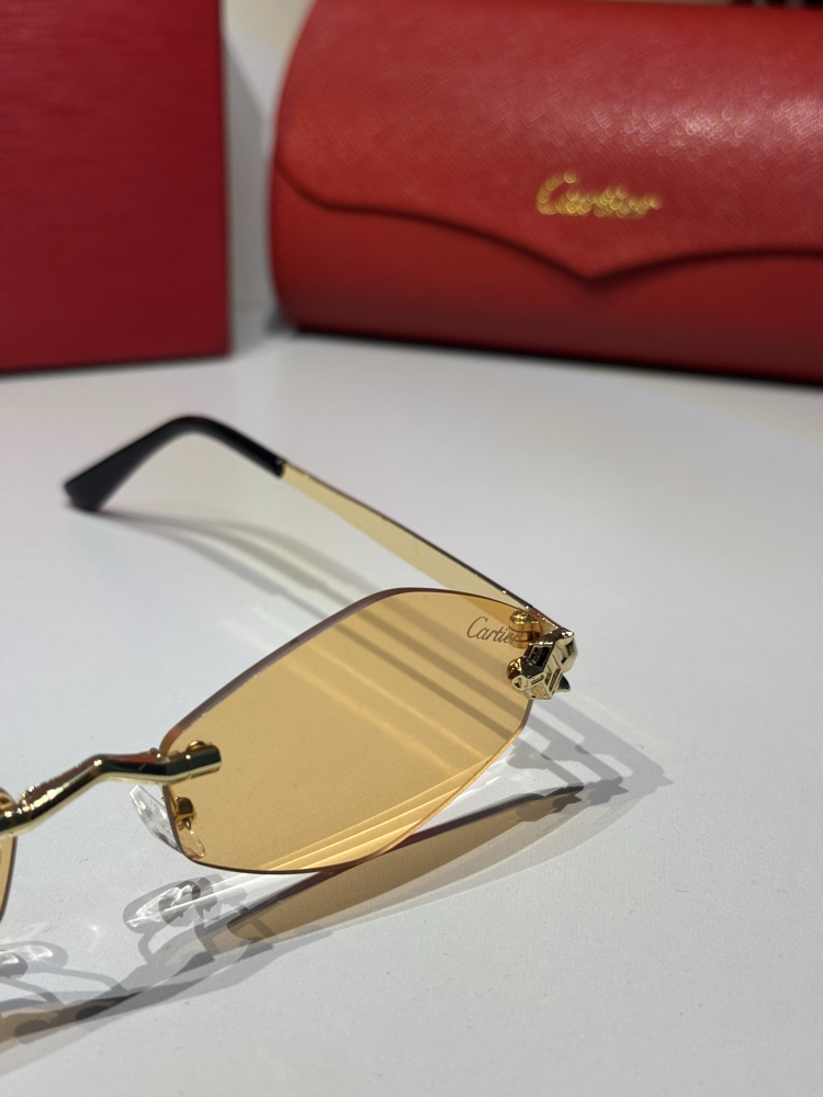 Cartier Unisex Güneş Gözlüğü CTR94