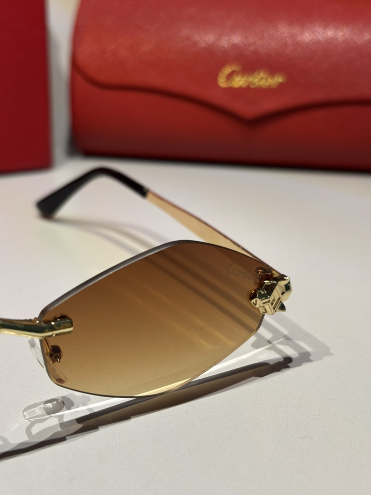 Cartier Unisex Güneş Gözlüğü CTR93