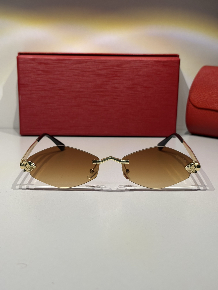 Cartier Unisex Güneş Gözlüğü CTR93